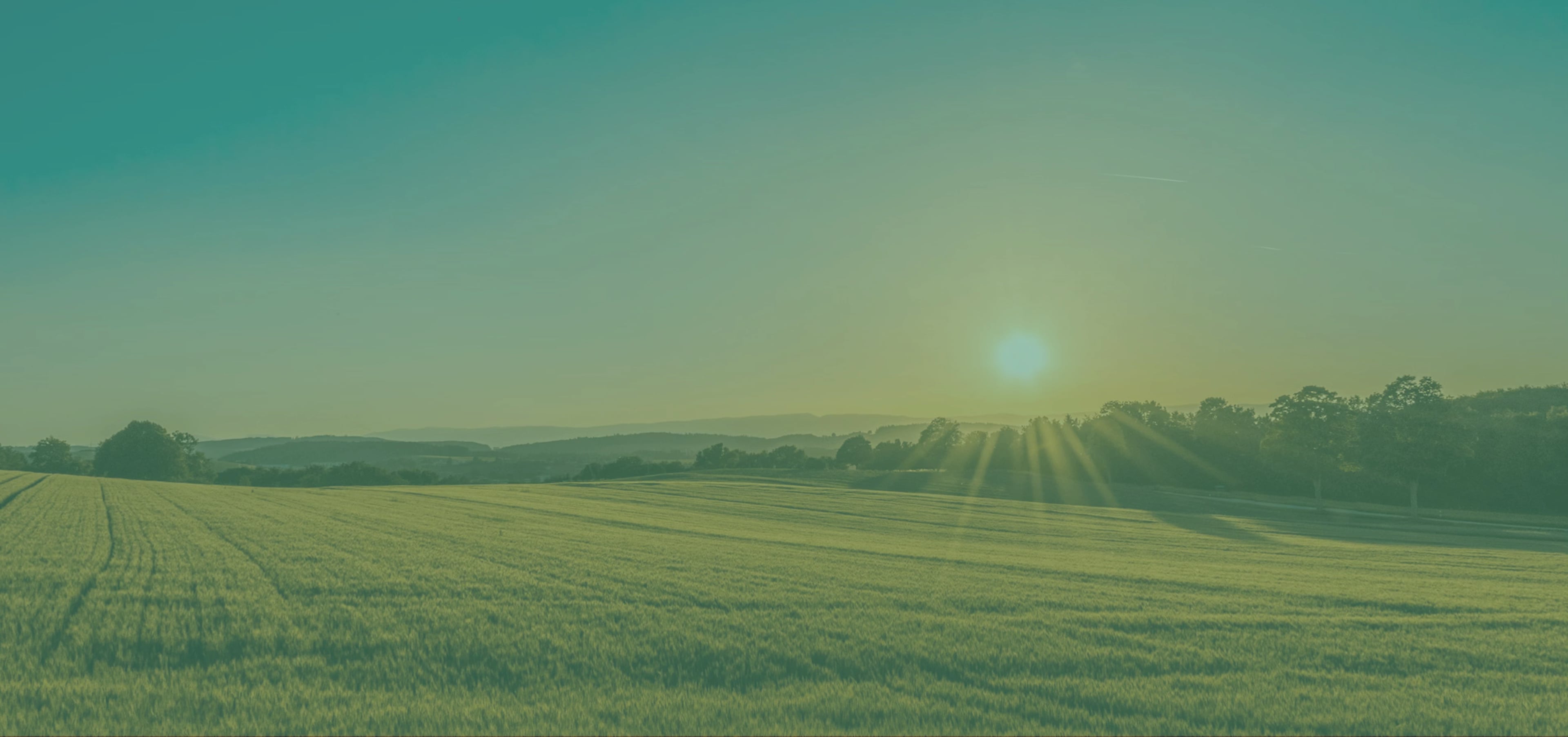 Agro-Tourism & R&D